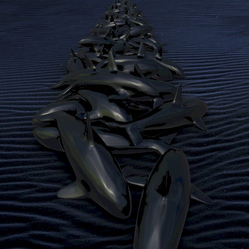 Beluga