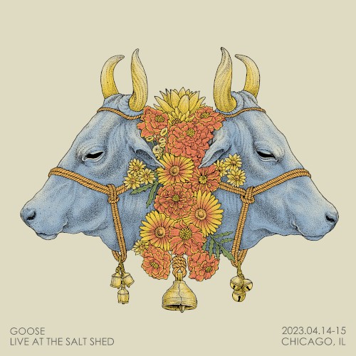 Live at The Salt Shed