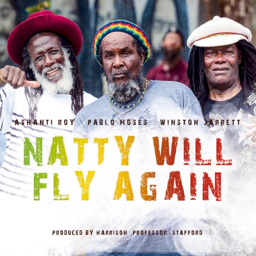 Natty Will Fly Again