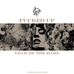 Year of the Hare