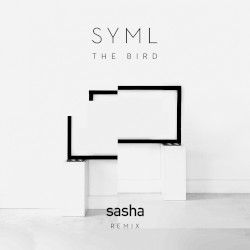 The Bird (Sasha remix)