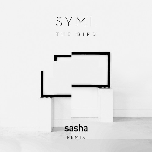 The Bird (Sasha remix)