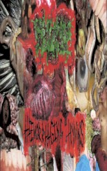 Split Tape 2010