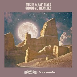 Goodbye (remixes)
