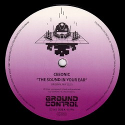 The Sound In Your Ear
