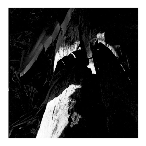 Away/Tangerine (Eternity Redux)