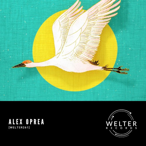 WELTER261