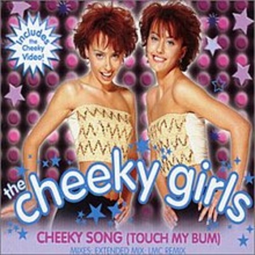Cheeky Song (Touch My Bum)
