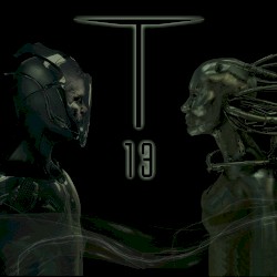 T‐13
