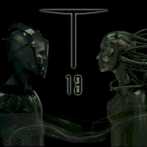T‐13