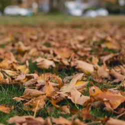 Autumn Equinox EP