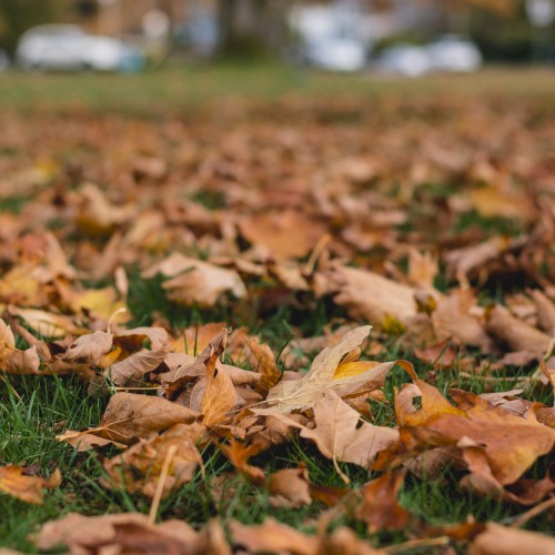 Autumn Equinox EP