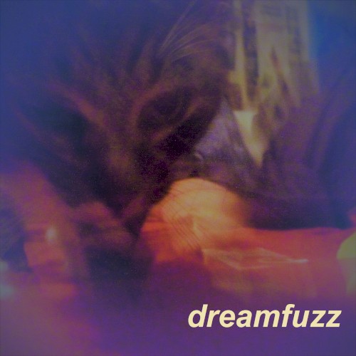 Dreamfuzz