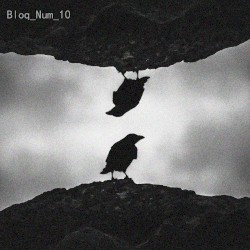 Bloq_Num_10
