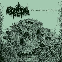 Cessation of Life