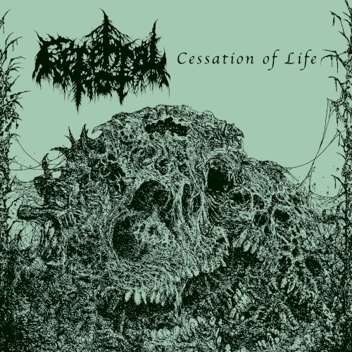 Cessation of Life