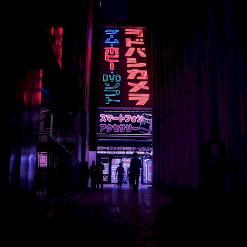 Shapes In The Dark