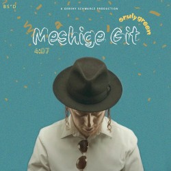Meshiga Git