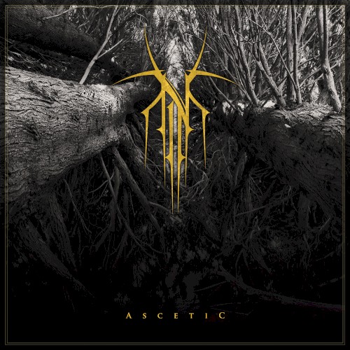 Ascetic