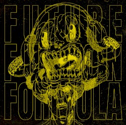 Future Fusion Formula