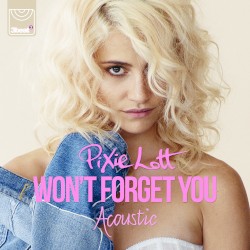 Won’t Forget You (acoustic mix)
