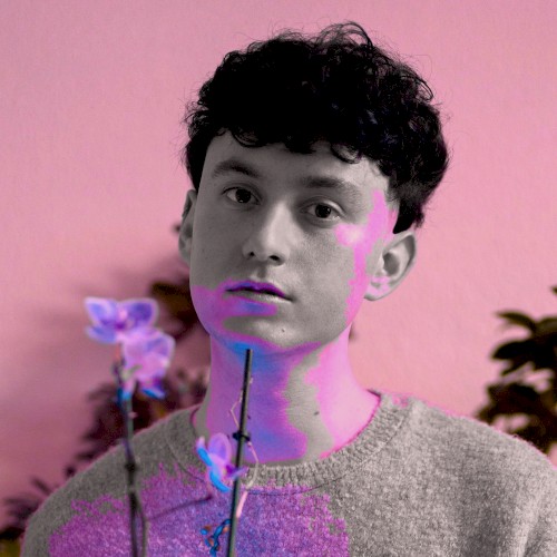Lilac Boys