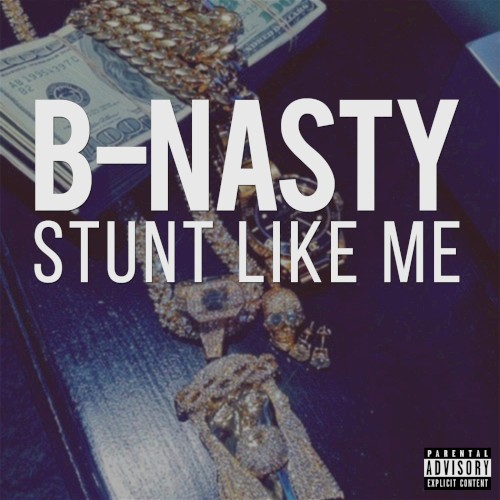 Stunt Like Me