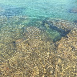 Hayama Ambient 018