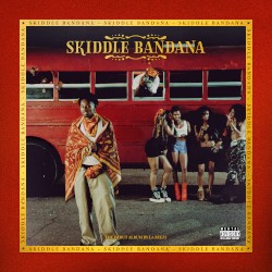 Skiddle Bandana
