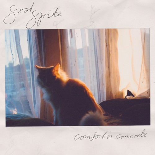 Comfort in Concrete