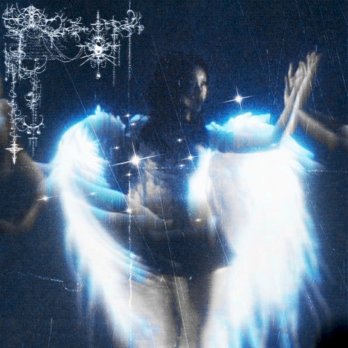Call of the Night