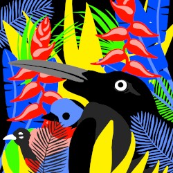 Birds of Paradise