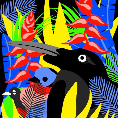 Birds of Paradise