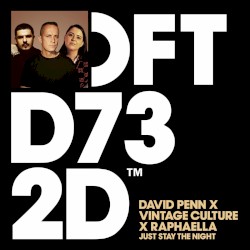 Just Stay The Night (Extended Mix)