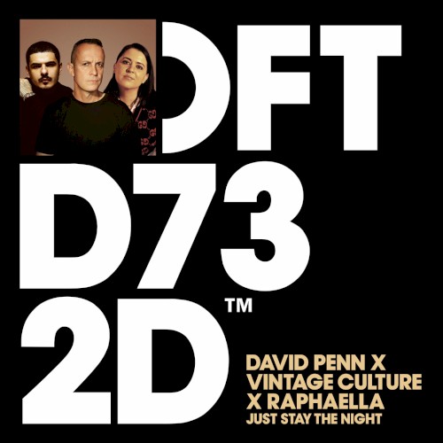 Just Stay The Night (Extended Mix)