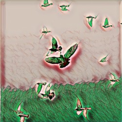 Free as a bird