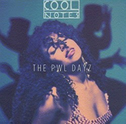 Make This a Special Night: The Lost PWL Album