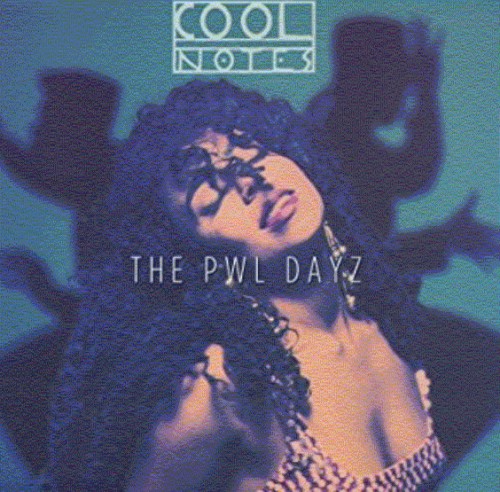Make This a Special Night: The Lost PWL Album