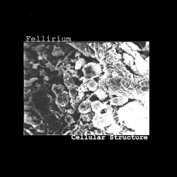 Cellular Structure