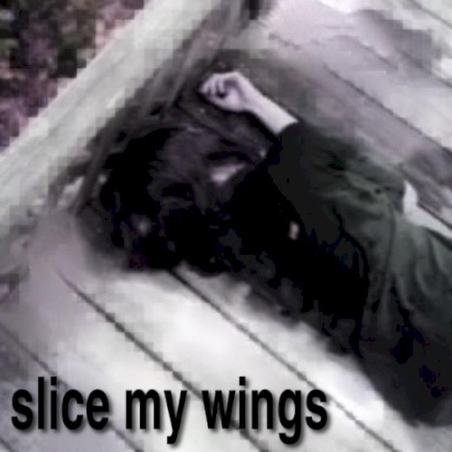 slice my wings