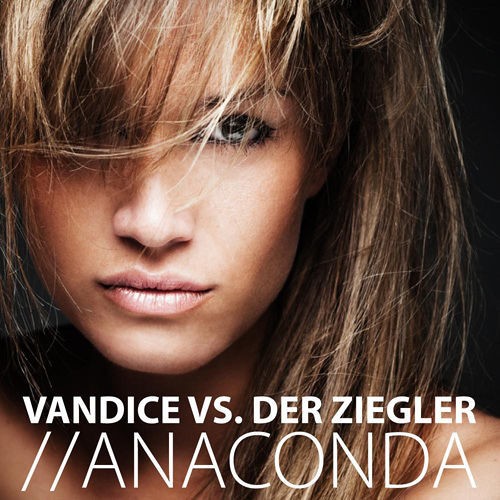 Anaconda