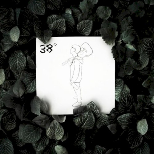 38º