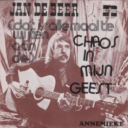(Dat is allemaal te wijten aan de) chaos in mijn geest / Annemieke