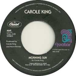 Morning Sun / Sunbird