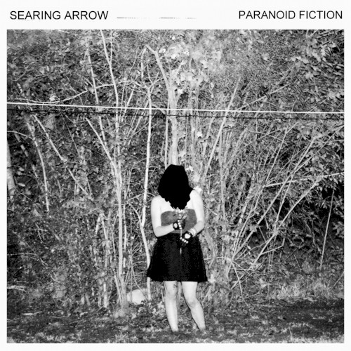 Paranoid Fiction