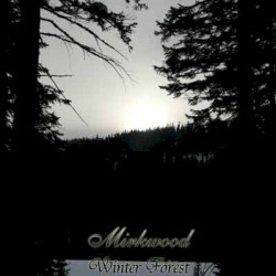 Winter Forest