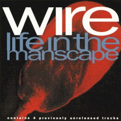 Life in the Manscape