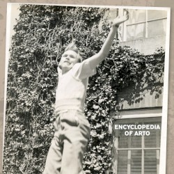 Encyclopedia of Arto