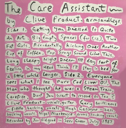 The Care Assistant