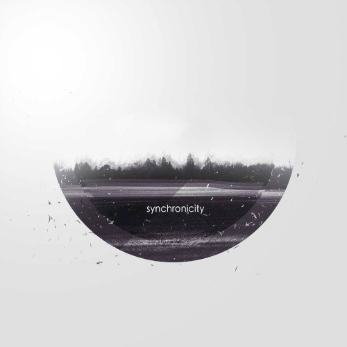 SYNCHRONICITY